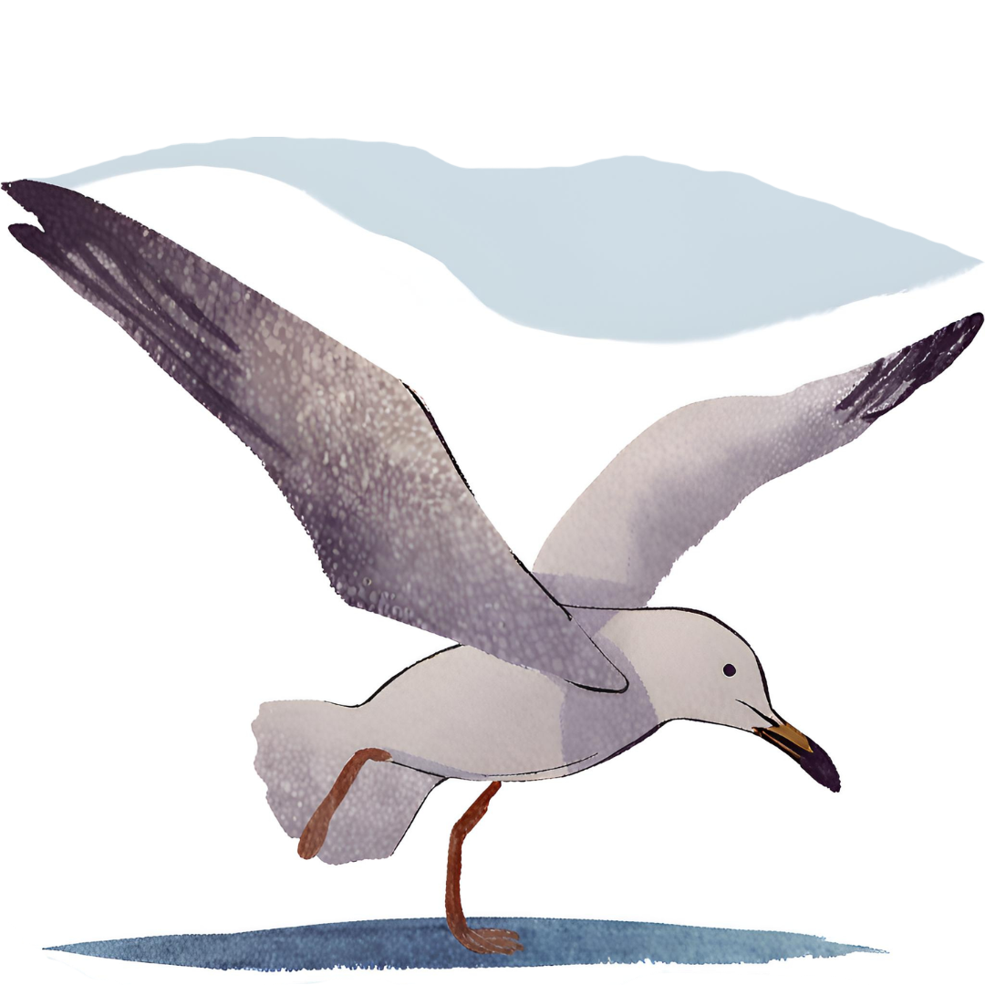 Hikers in the Azores