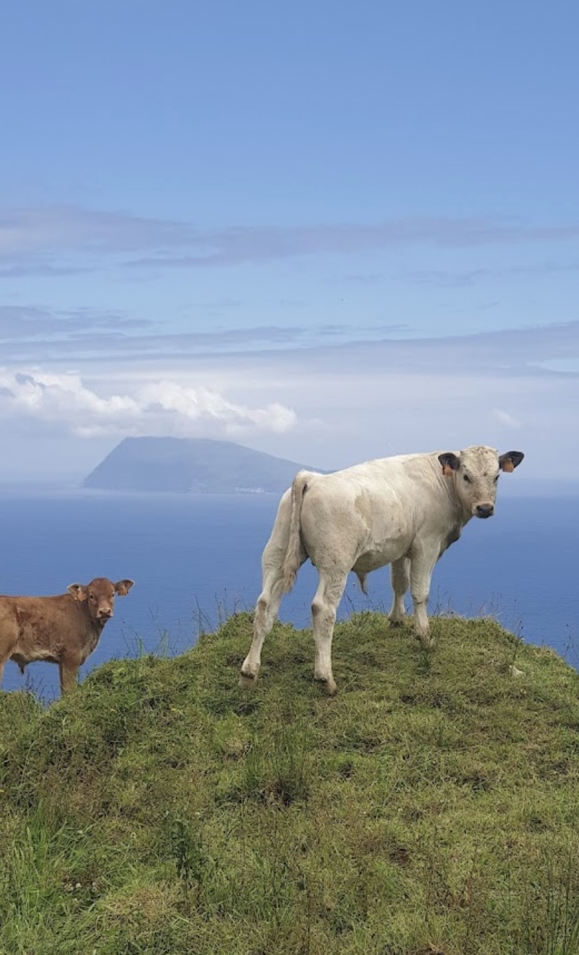 Alagoa National Park Campsite