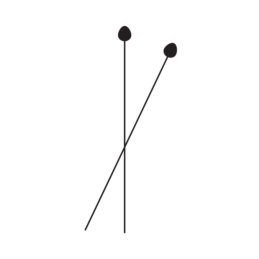 Hiking poles icon